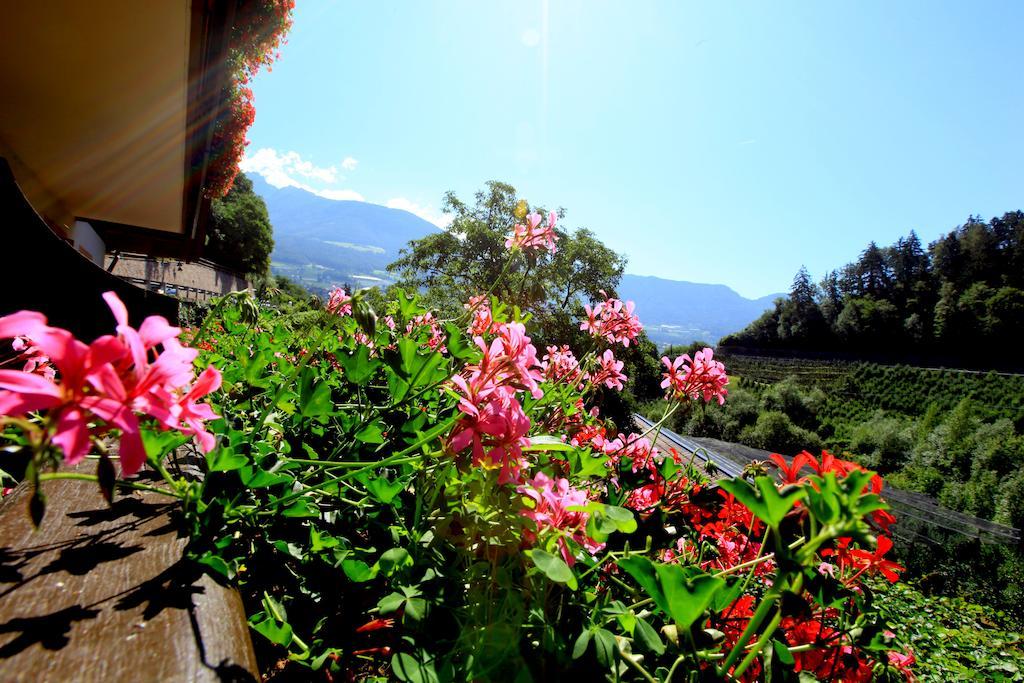 Tannerhof Bed & Breakfast Caines Room photo